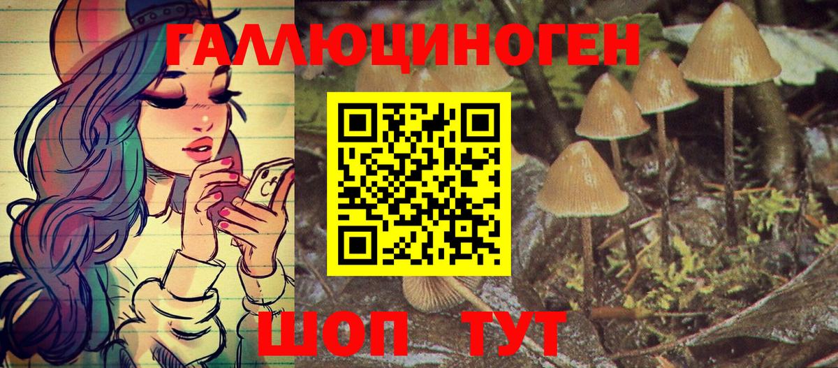 КОКАИН  Экстази  Амфетамин   Меф  МЕФ кристаллы  Марихуана  Гатчина  Вход с VPN  Alpha PVP СОЛЬ кристаллы  Гашиш 