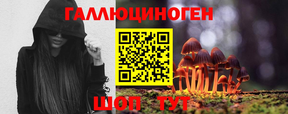 Гатчина  Псилоцибиновые грибы Magic Shrooms  Вход с VPN 